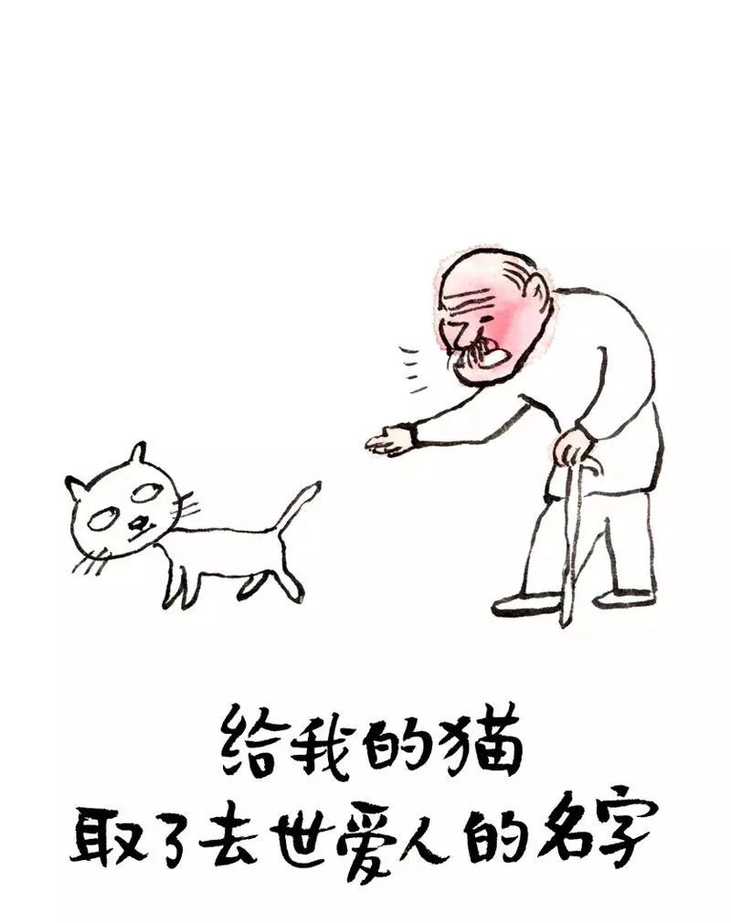 图片31.png